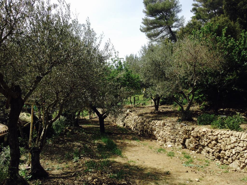 Gites Du Raby Signes Exterior photo